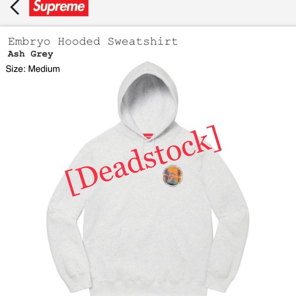 Supreme Embryo Hoodie - Picture 2 of 4